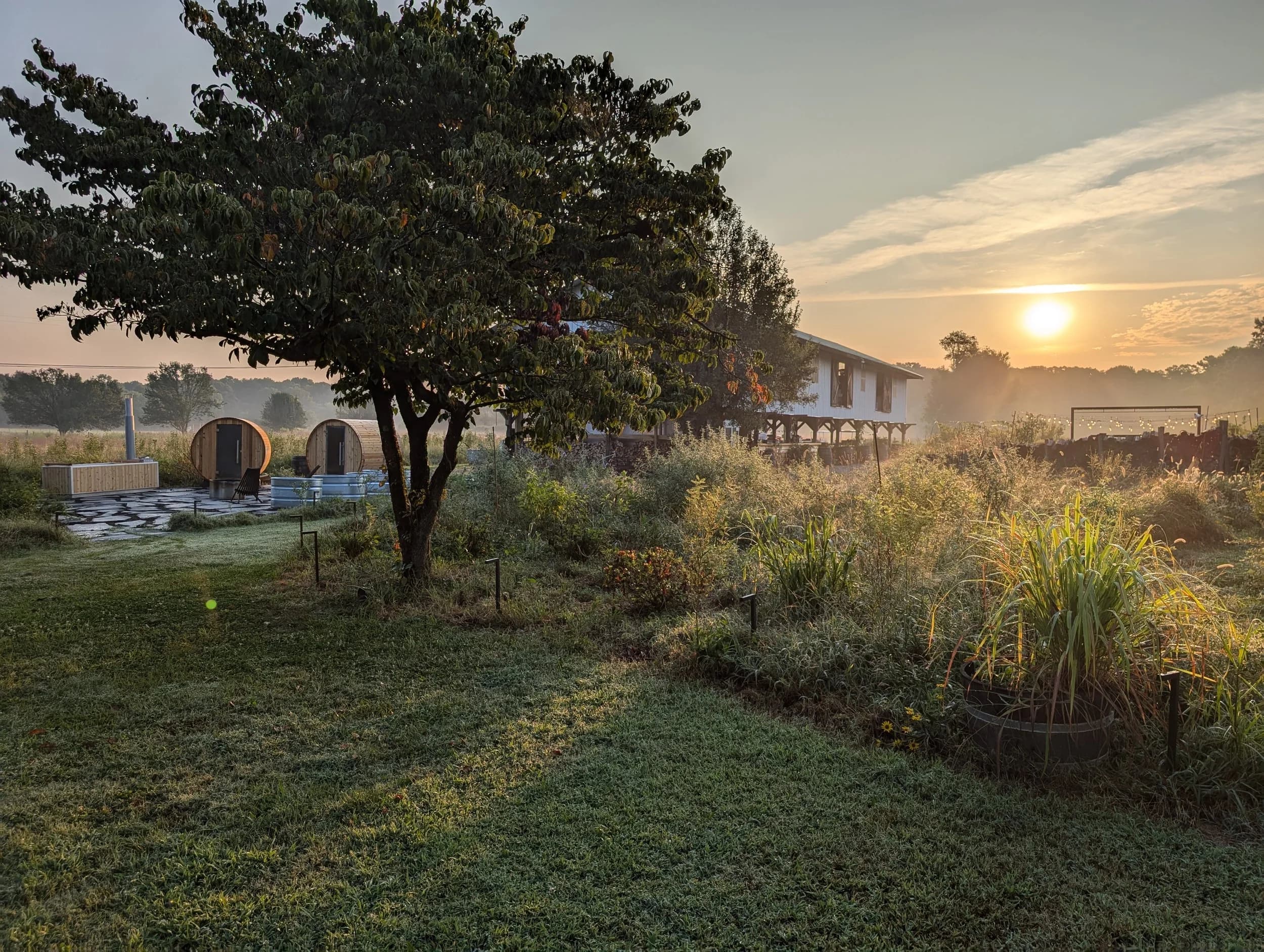 Misty dawn at Celeste Farms with sauna barrels and wildflowers