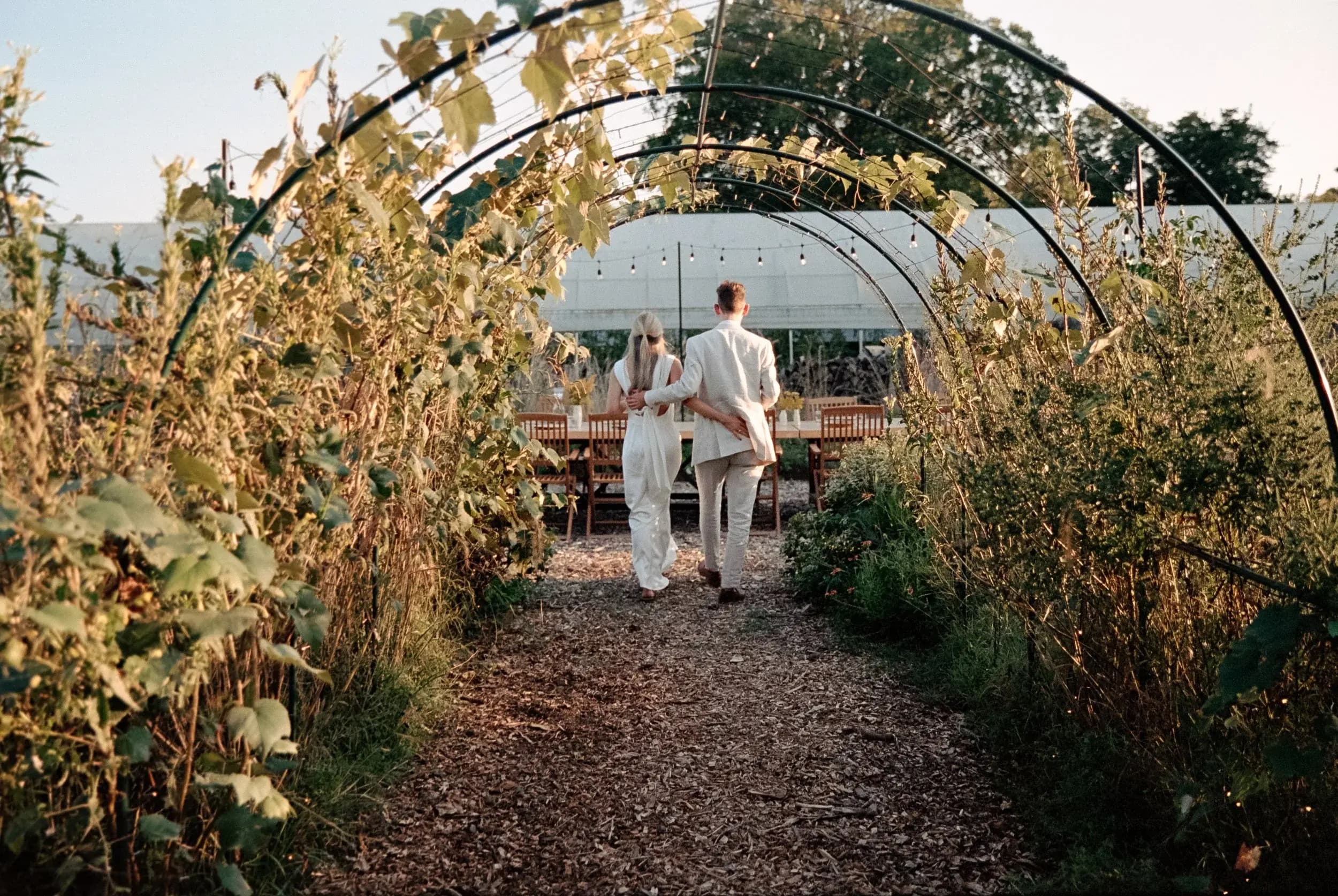 Couple walking through a vine-covered archway