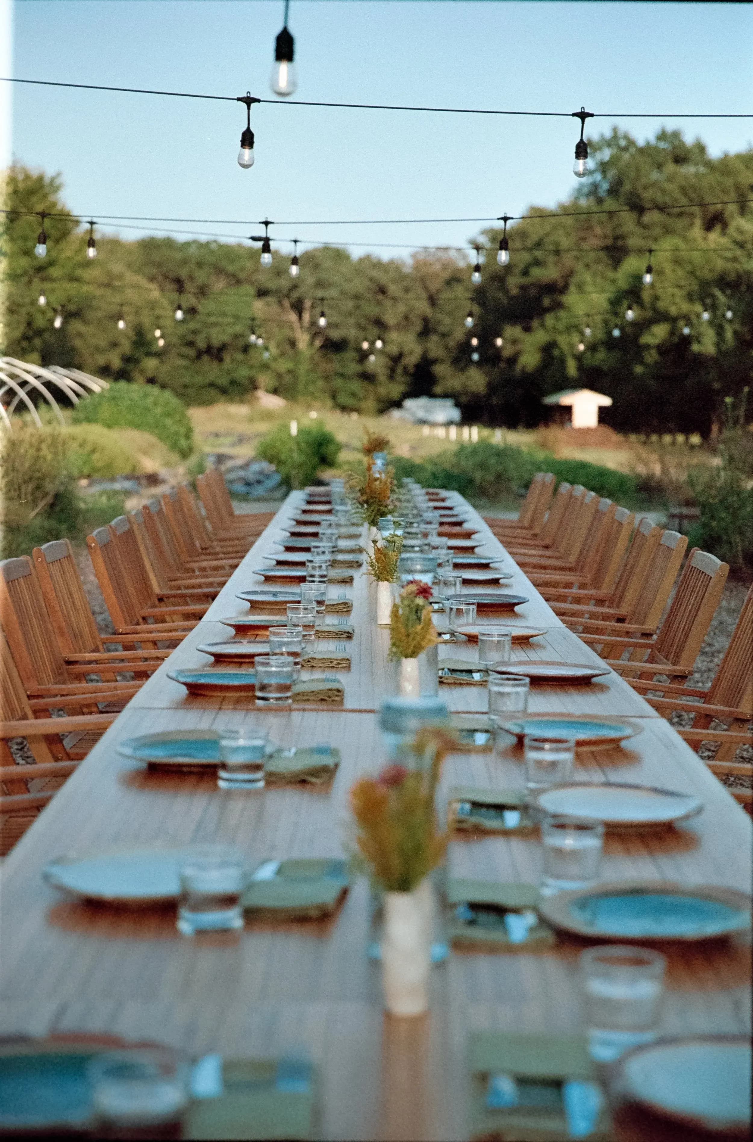 Set long dinner table under string lights in the garden